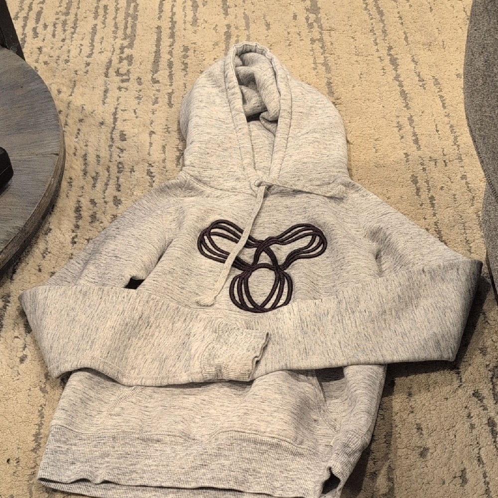 Aritzia TNA Light Heathered Gray Hoodie